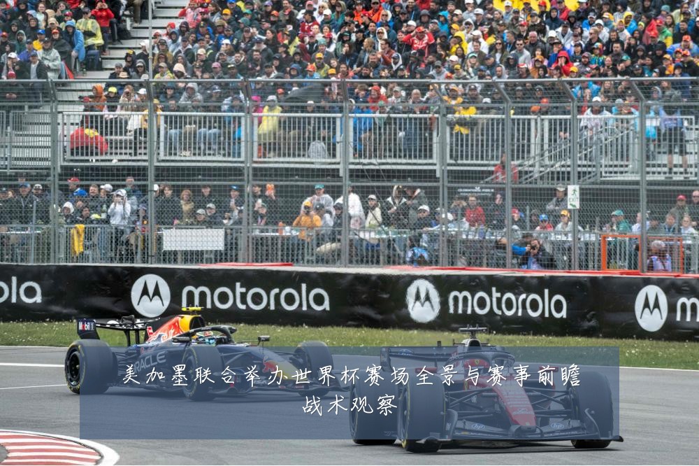美加墨联合举办世界杯赛场全景与赛事前瞻战术观察